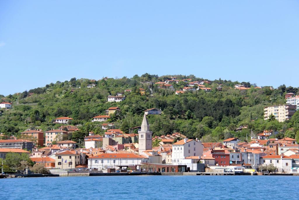 Hotel San Rocco Муджа Экстерьер фото